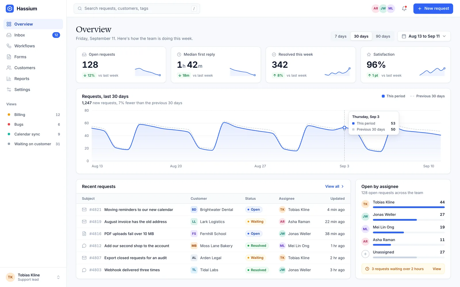 Hassium's overview screen: four headline numbers, a chart of the last thirty days of requests, and a list of the newest requests