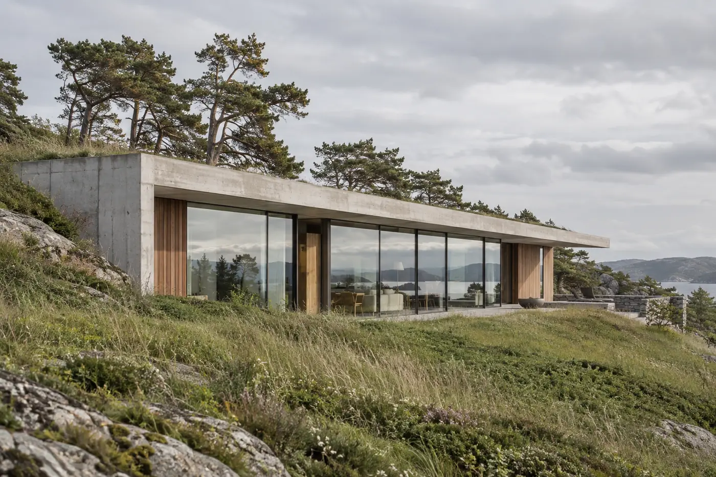 Low House, a low concrete house set into a grassy slope